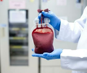 blood storage bags