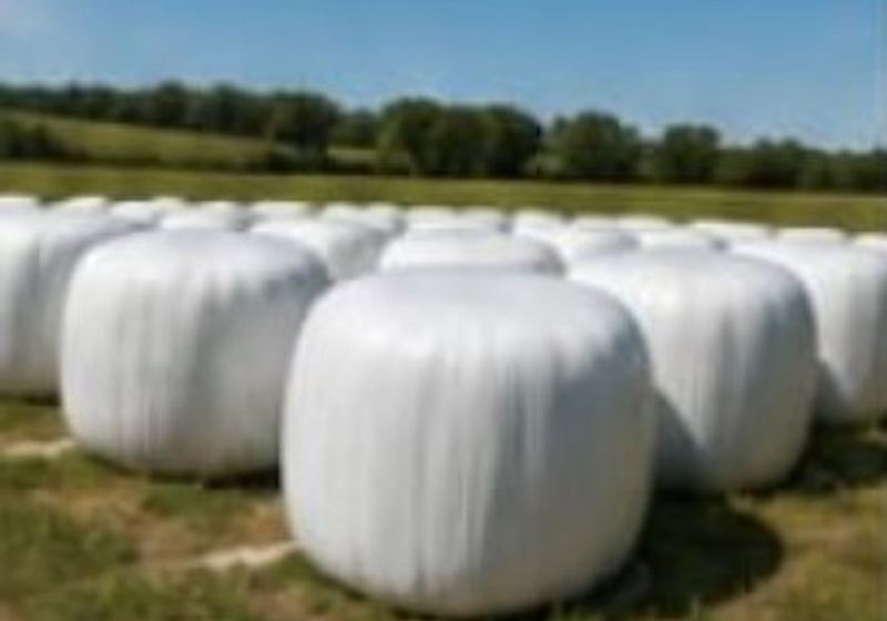 LLDPE 209 for Silage Film